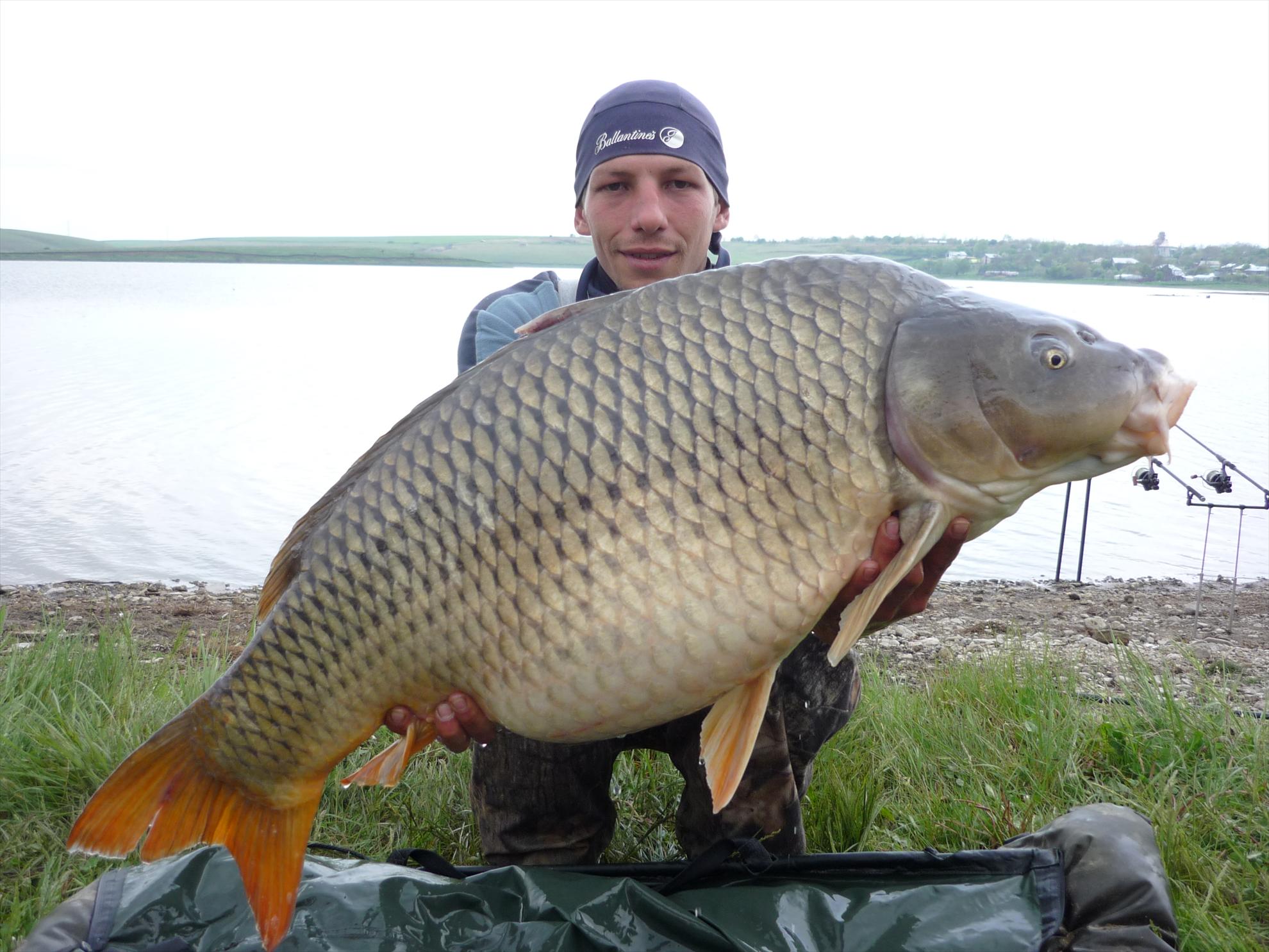 Foto dulapi - picture-001.jpg